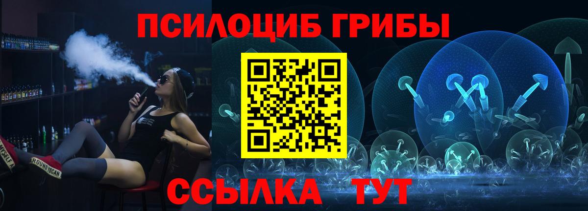 Галлюциногенные грибы MAGIC MUSHROOMS  Вход с VPN  Зеленогорск 